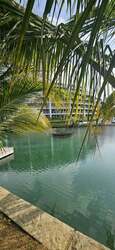 Cove Drive (D4), Detached #457031701